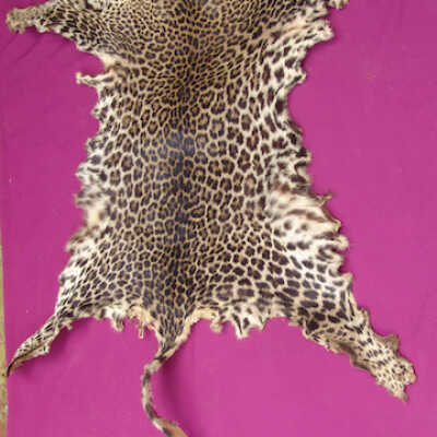 Leopard skin