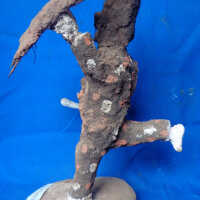 Figure of masquerade - Image 3