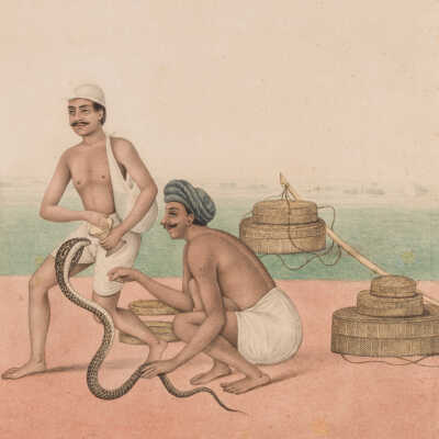 Company School Illustration: Snake charmers