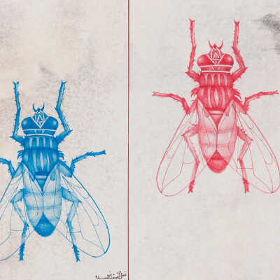Untitled (Flies) - 2
