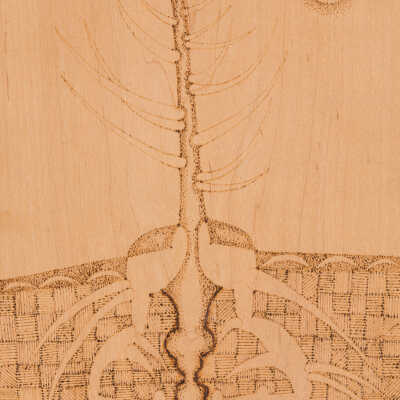 Roots