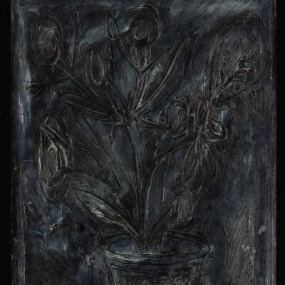 Still Life