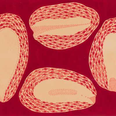 Untitled (Seeds)