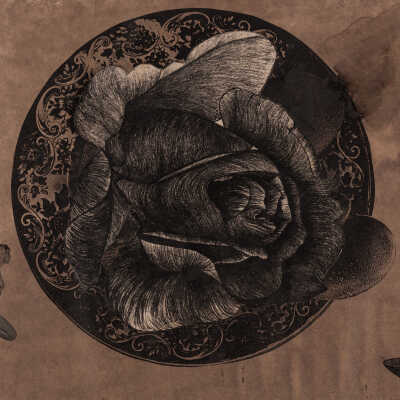 Untitled (Flower)