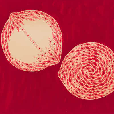 Untitled (Seeds)