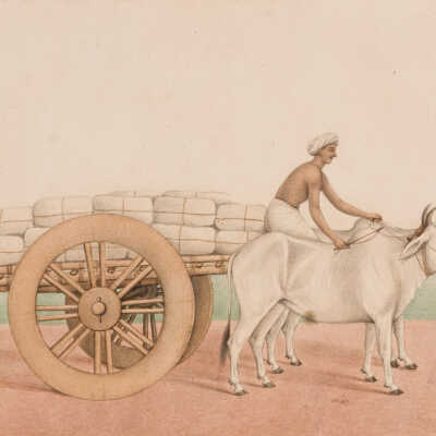 Company School Illustration: Man on a bullock cart