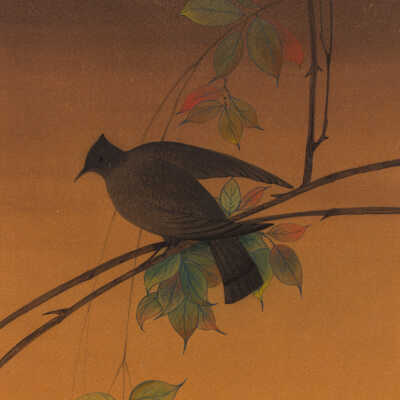 Bulbul