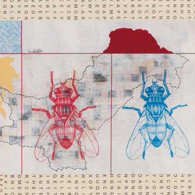 Untitled (flies and Pakistan map)