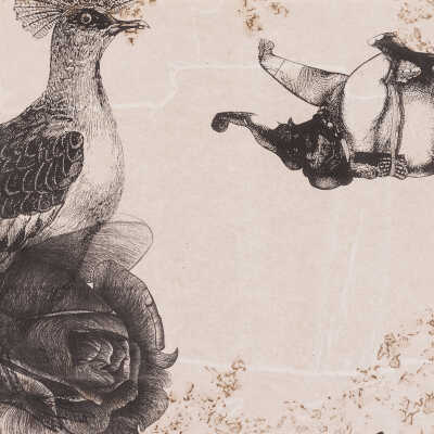 Untitled (Bird & Elephant)