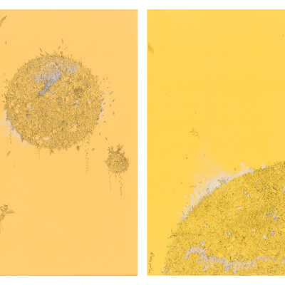 Omni Sun [Diptych]