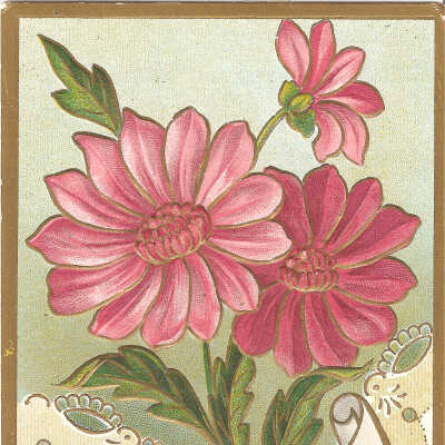 Postcard,