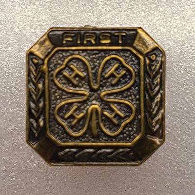 Pin, 4H, First