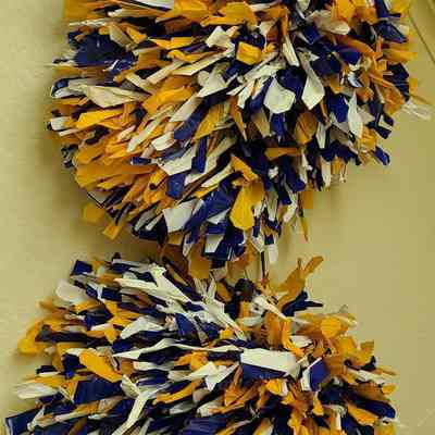 Cheerleader Hand Poms, 2000