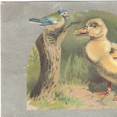 Postcard, Easter