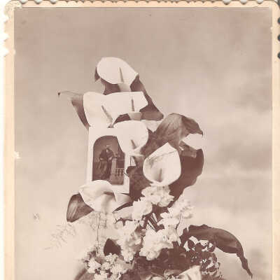 Photo, Photo of Floral Arrangement