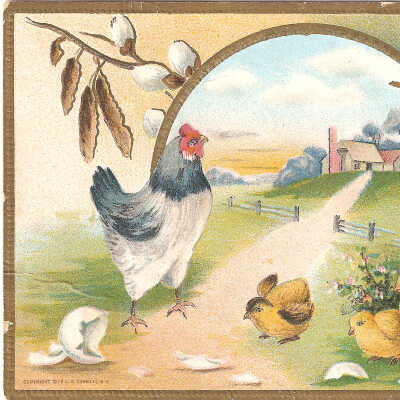 Postcard, Easter, 1911