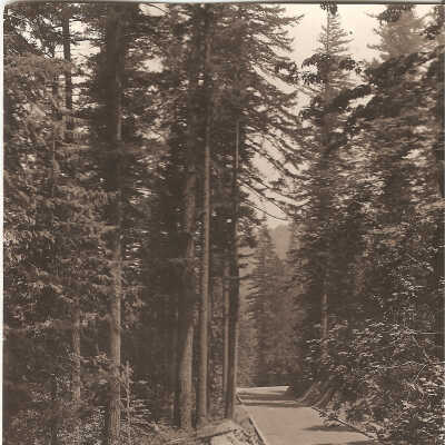 Postcard, Figure Eight, Columbia River Highway