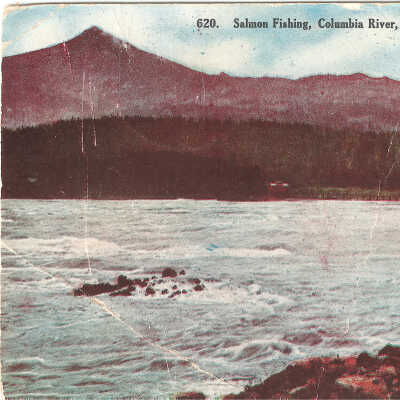 Postcard, Table Mountain, 1909