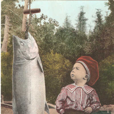 Postcard, Birthday, 1909