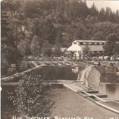 Postcard, Fish Hatchery, Bonneville