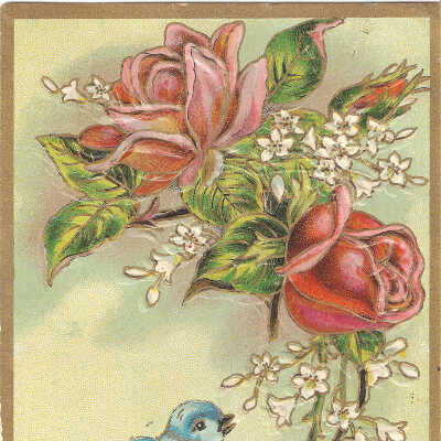 Post Card, Birthday