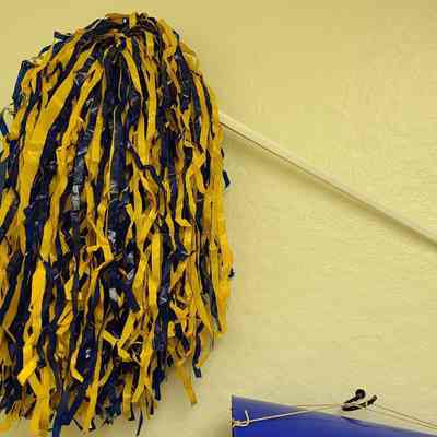Cheerleader Pom Stick