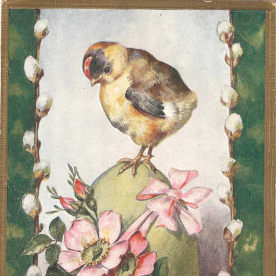 Postcard, Easter, 1911