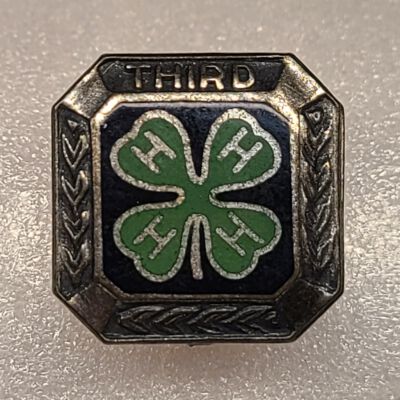 Pin, 4H, Award