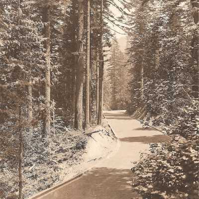 Post Card, Figure Eight