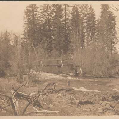 Trout Creek, Trout Lake