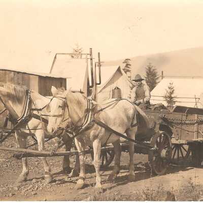 Postcard, Horse-drawn Wagon