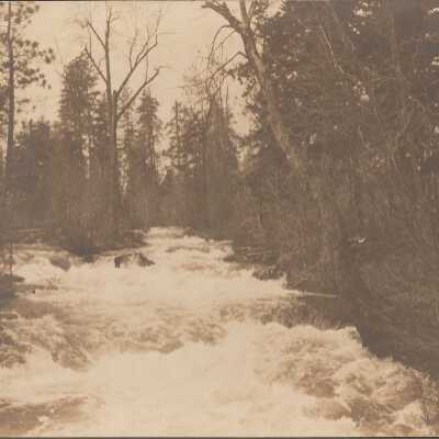 Trout Creek