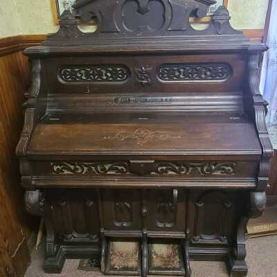 Organ