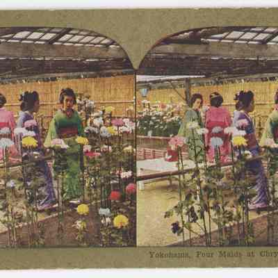 b - "Yokohama, Four Maids at Chrysanthemum Show"