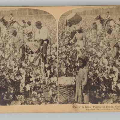 L – “Cotton is King, Plantation Scene, Georgia USA” 1895