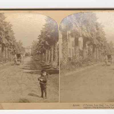 O –“Avenue of Palms, Los Angeles, California, USA” 1894