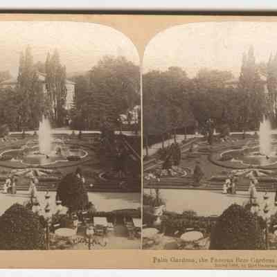Stereographs