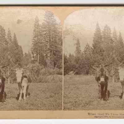 f – “When Shall we Three Meet Again?”