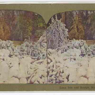 d - "Luna Isle and Bridge, Niagara Falls"