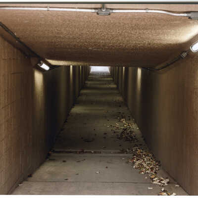 Photograph from "Sense of Place" exhibit