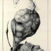 Pod