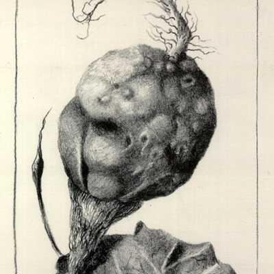 Pod