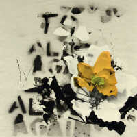 Destructive Indulgences