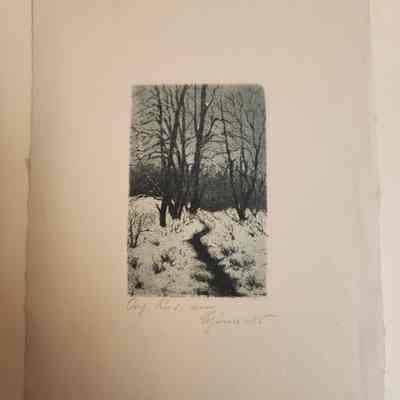 Winter Landscape