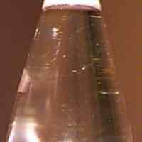 Bottle, prototype