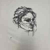 Das Gesicht des Weibes (The Face of Woman)