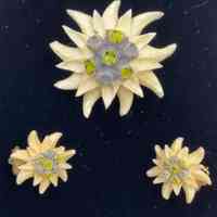 Earrings and Brooch Set