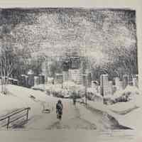 Snow Scene Central Park