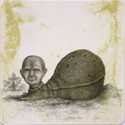 The Host