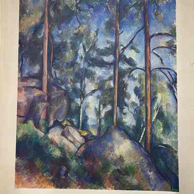 Pines and Rocks Reproduction